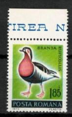 Roemenië 1973 vogel roodhalsgans postfris, Verzenden, Overige landen, Postfris