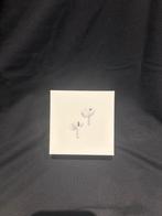 Airpods Pro 2nd Generation ANC, Ophalen of Verzenden, Zo goed als nieuw, Overige merken, Bluetooth