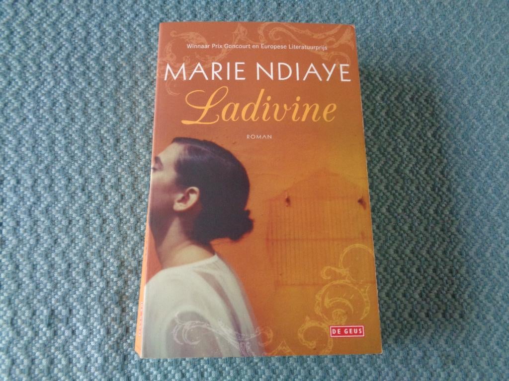 LADIVINE - Marie Ndiaye, Boeken, Literatuur, Zo goed als nieuw, Ophalen of Verzenden