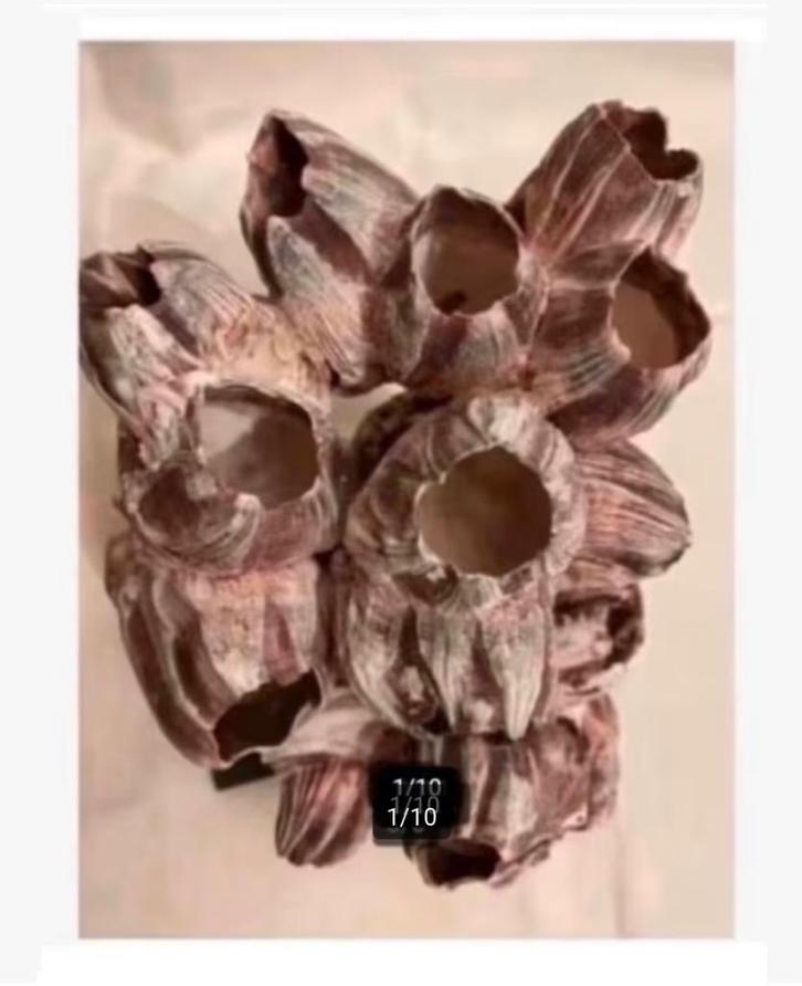 2 x Woondecoratie, Zeepokken op voet, prijs per stuk, Verzamelen, Mineralen en Fossielen, Mineraal, Ophalen of Verzenden