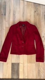 Prachtige Marks&Spencer blazer maat 8 (36), Ophalen of Verzenden, Zo goed als nieuw, Maat 36 (S), Jasje