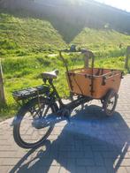 Vogue elektrische bakfiets 3-wieler, 4 kinderen of meer, Huif, Zo goed als nieuw, Ophalen