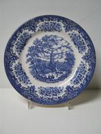 English Ironware England dinerbord kerk blauw, Antiek en Kunst, Antiek | Servies los, Ophalen of Verzenden