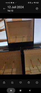 Tentoonstelling kooitjes, Dieren en Toebehoren, Vogels | Hokken en Kooien, Ophalen, Gebruikt, Vogelkooi