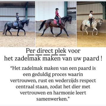 Paarden zadelmak maken beschikbaar voor biedingen