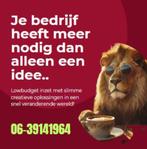 Website laten maken of aanpassen | budget prijs, Variabele uren, Overige niveaus, Vanaf 10 jaar, Overige vormen
