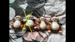 AH hamsters, Ophalen of Verzenden, Zo goed als nieuw, Overige typen