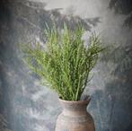 Bosje bessentakken "groen", Ophalen of Verzenden