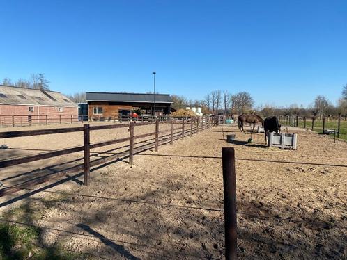 Stal Groenewoud in Nijkerk, Dieren en Toebehoren, Stalling en Weidegang, Stalling, Weidegang, 4 paarden of pony's of meer