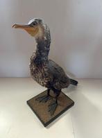 Opgezette watervogel - taxidermie, Verzamelen, Dierenverzamelingen, Ophalen of Verzenden, Gebruikt, Vogel, Opgezet dier