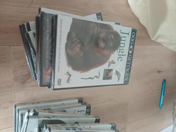 Dvd.s beschikbaar voor biedingen