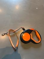 Mooie hondenriem, Ophalen of Verzenden, Gebruikt, Hondenriem