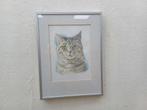 Prent /tekening van een kat 39911