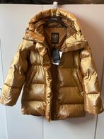 Nieuw!! Goldbergh (ski)jas, Kleding | Dames, Jassen | Winter, Ophalen of Verzenden, Nieuw, Maat 38/40 (M), Overige kleuren