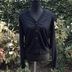 Donkerblauw vest Paul Smith maat L = M 38/40 NIEUW, Kleding | Dames, Verzenden, Nieuw, Maat 38/40 (M), Blauw