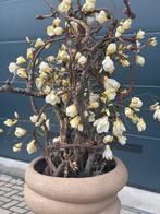 Kunst plant - 190cm hoog, Tuin en Terras, Planten | Bomen, Overige soorten, 100 tot 250 cm, Zomer, Ophalen