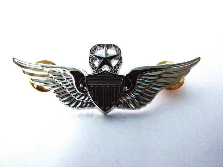 Embleem,Badge,USAF,Commanding,Pilot,Piloot,Side,cap, Verzamelen, Militaria | Tweede Wereldoorlog, Luchtmacht, Embleem of Badge