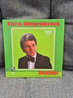 Theo Diepenbrock rosalinde maria bonita, Ophalen of Verzenden, Zo goed als nieuw, Levenslied of Smartlap