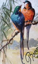 (1) - C.KLEIN - Vogels, Verzenden, 1920 tot 1940, Ongelopen, Natuur