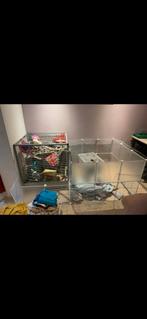 Ferplast furet XL rattenkooi + toebehoren en inrichting, Ophalen, Rat, 60 tot 90 cm, Zo goed als nieuw