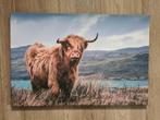 Canvas hooglander 60x40 cm, Minder dan 50 cm, 50 tot 75 cm, Ophalen