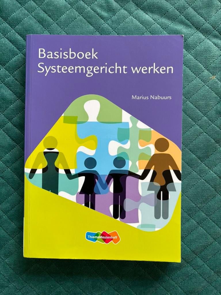 Marius Nabuurs - Systeemgericht werken, Ophalen of Verzenden, Zo goed als nieuw, Marius Nabuurs, Nederlands