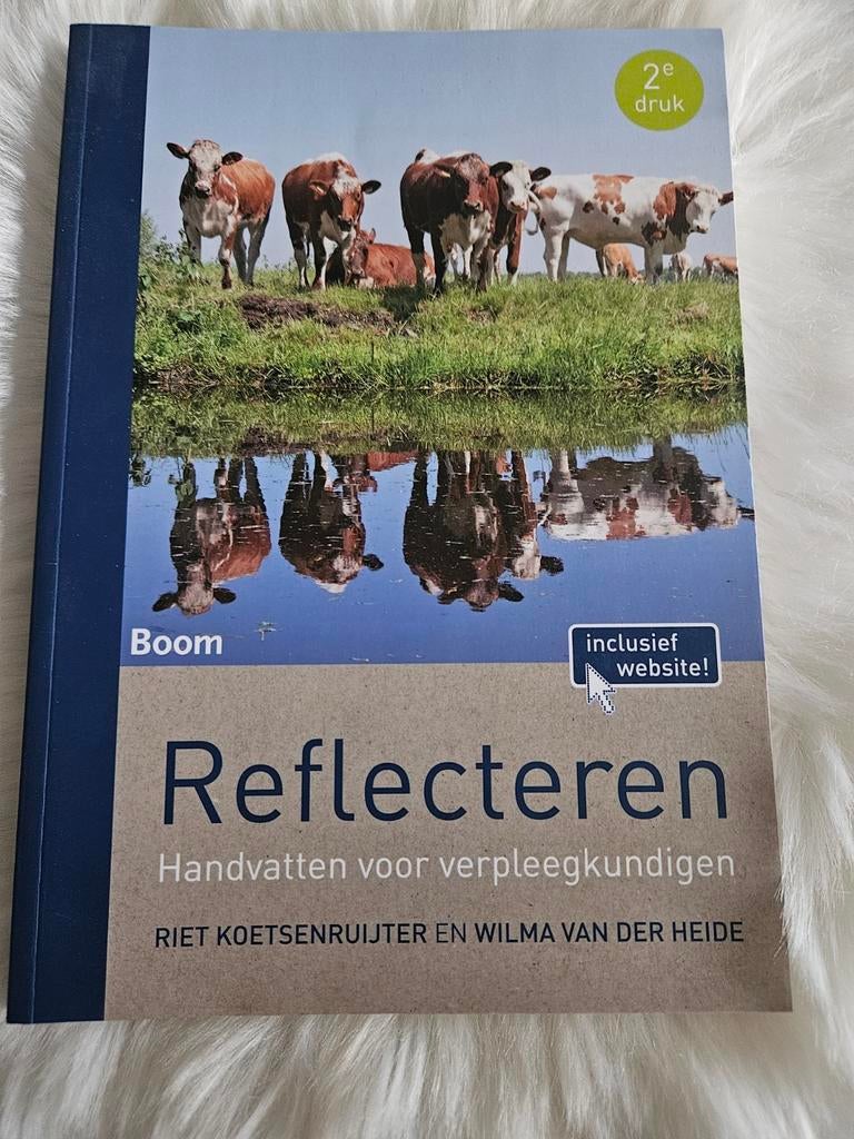 Wilma van der Heide - Reflecteren, Boeken, Sociale wetenschap, Wilma van der Heide; Riet Koetsenruijter, Ophalen of Verzenden