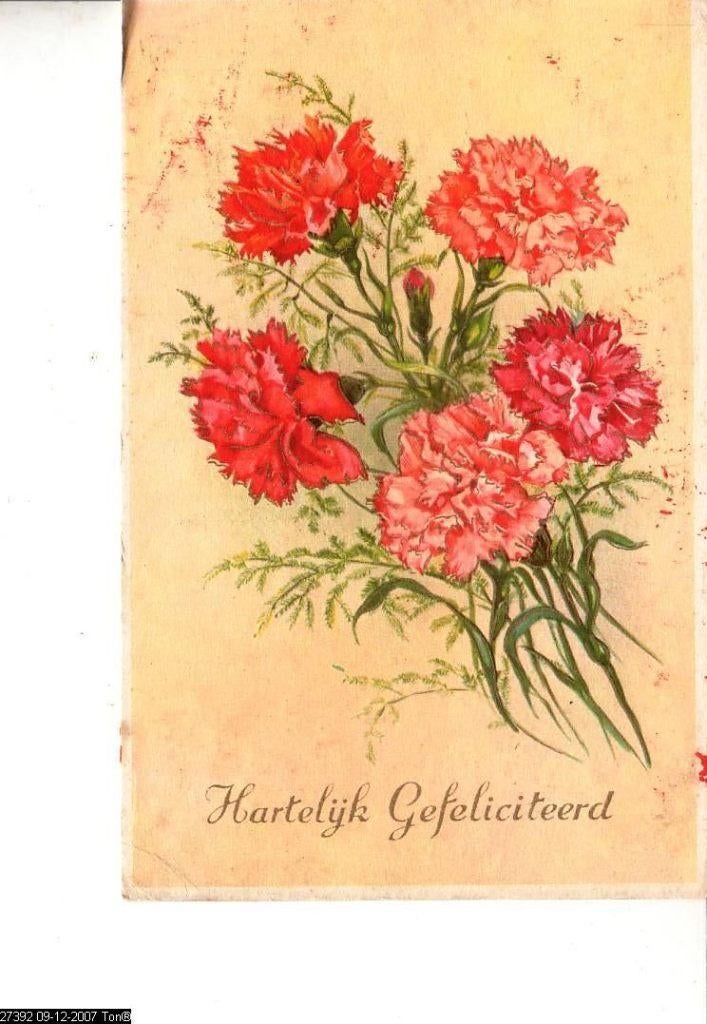 Ansichtkaart	Hartelijk Gefeliciteerd	Bloemen	Anjers, Verzenden, 1940 tot 1960, Ongelopen, Natuur