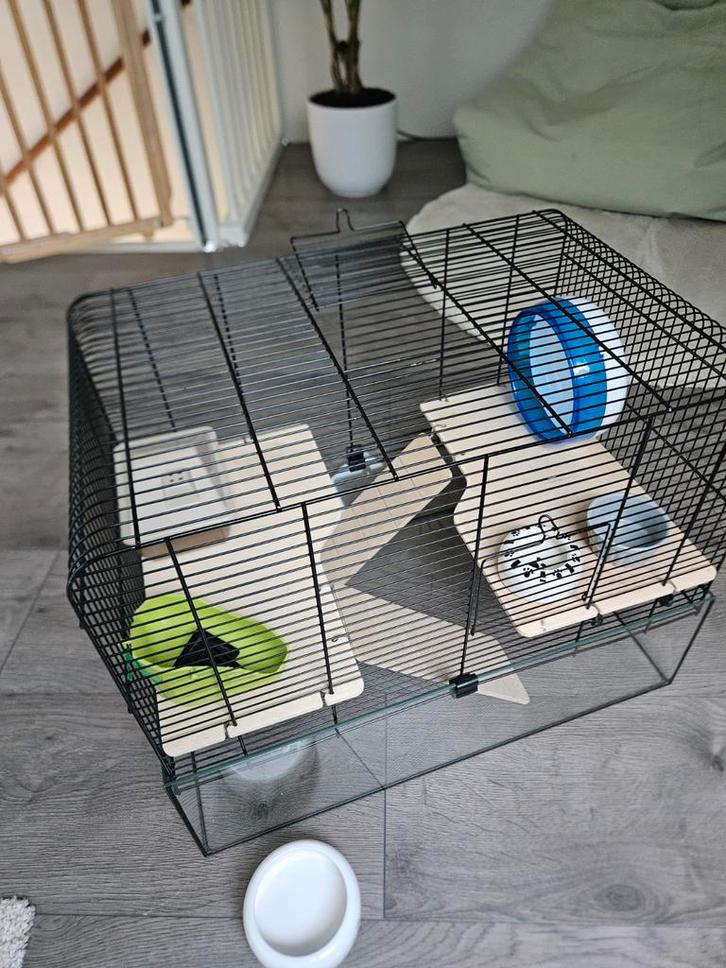 Hamsterkooi met toebehoren z.g.a.n., Dieren en Toebehoren, Knaagdieren en Konijnen | Hokken en Kooien, Zo goed als nieuw, Kooi