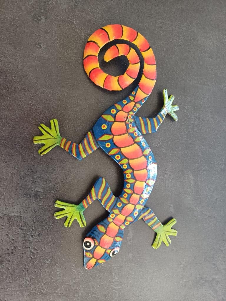 Salamander hagedis Curaçao met ophanghaakje, Ophalen