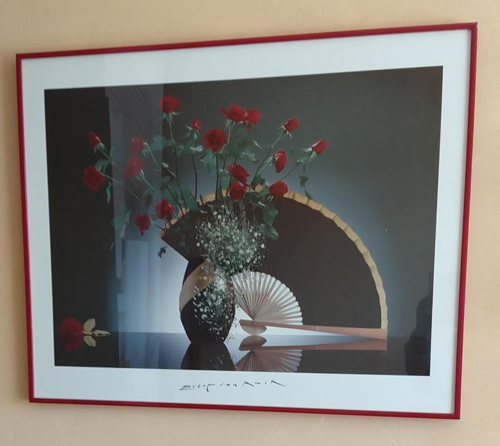 fotografie poster Evert v. Kuik,  ingelijst,  volgnr 29, Ophalen, Gebruikt, Met lijst, Rechthoekig Liggend