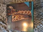 Puzzel 1000 stukjes van giraffen, Ophalen of Verzenden, Nieuw