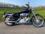 HARLEY DAVIDSON XL 53C CUSTOM 53 883. Bj 2004., 2 cilinders, Chopper, Particulier