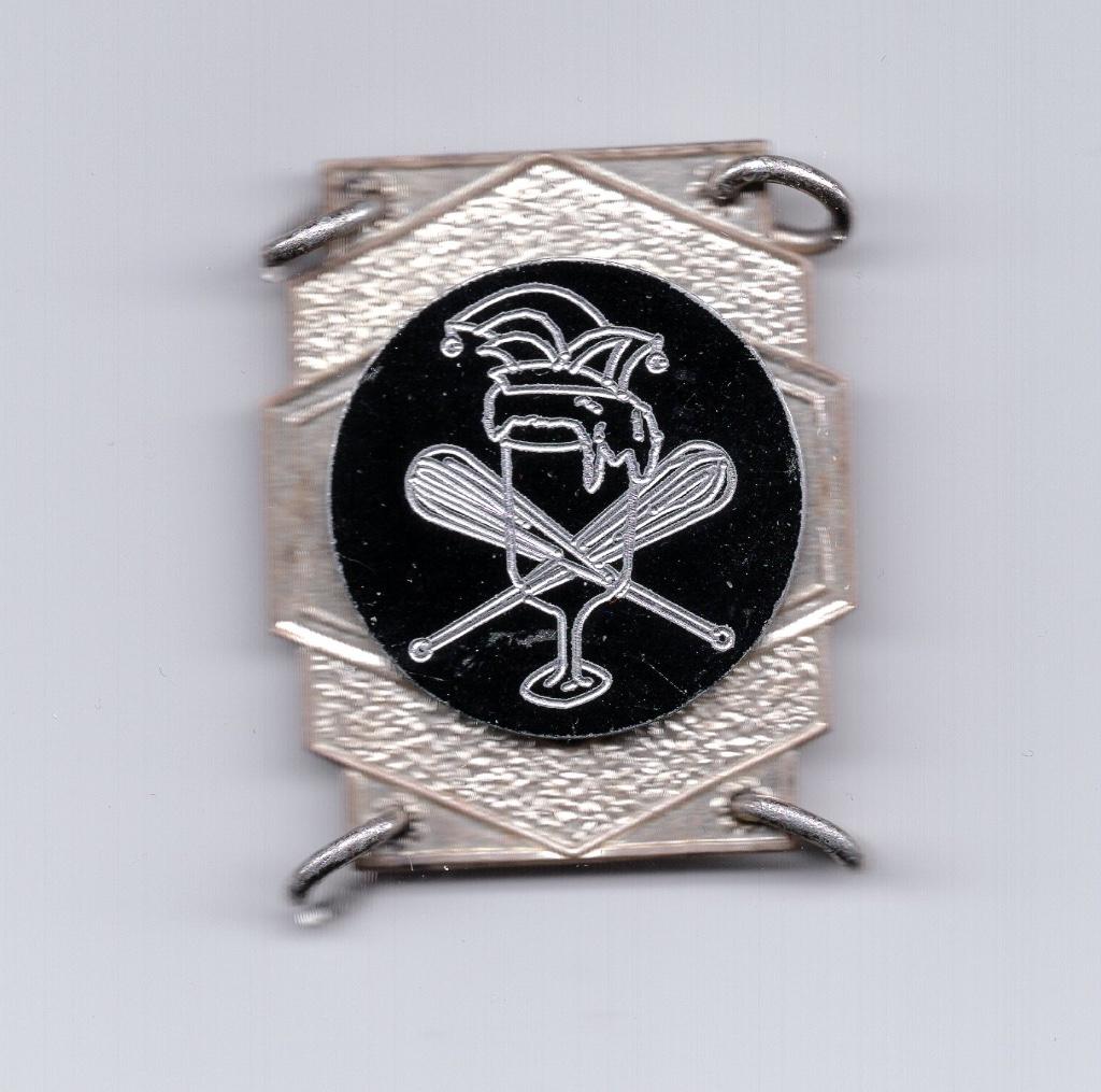 Medaille Carnavals Vereninging De Klutsers Apeldoorn, Ophalen of Verzenden, Overige materialen, Nederland