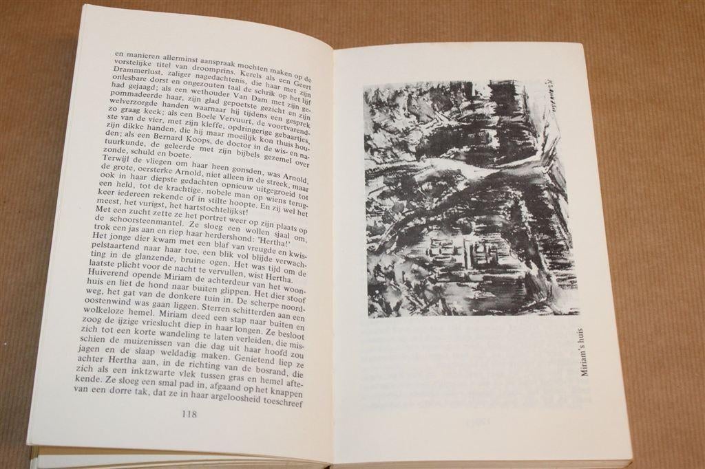 Het Mysterie van Westerwolde — Detective Oost-Groningen, Boeken, Ophalen of Verzenden, Gelezen