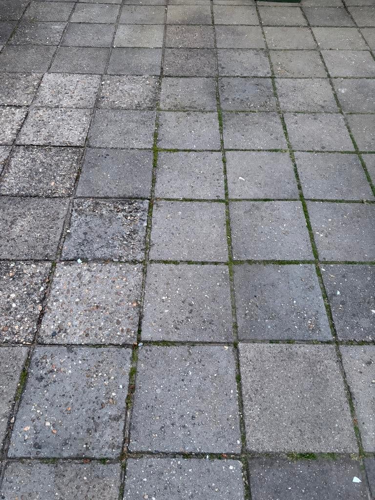 Stoeptegels circa 250 stuks gratis ophalen in Best, Tuin en Terras, Ophalen, Gebruikt, Beton, Terrastegels