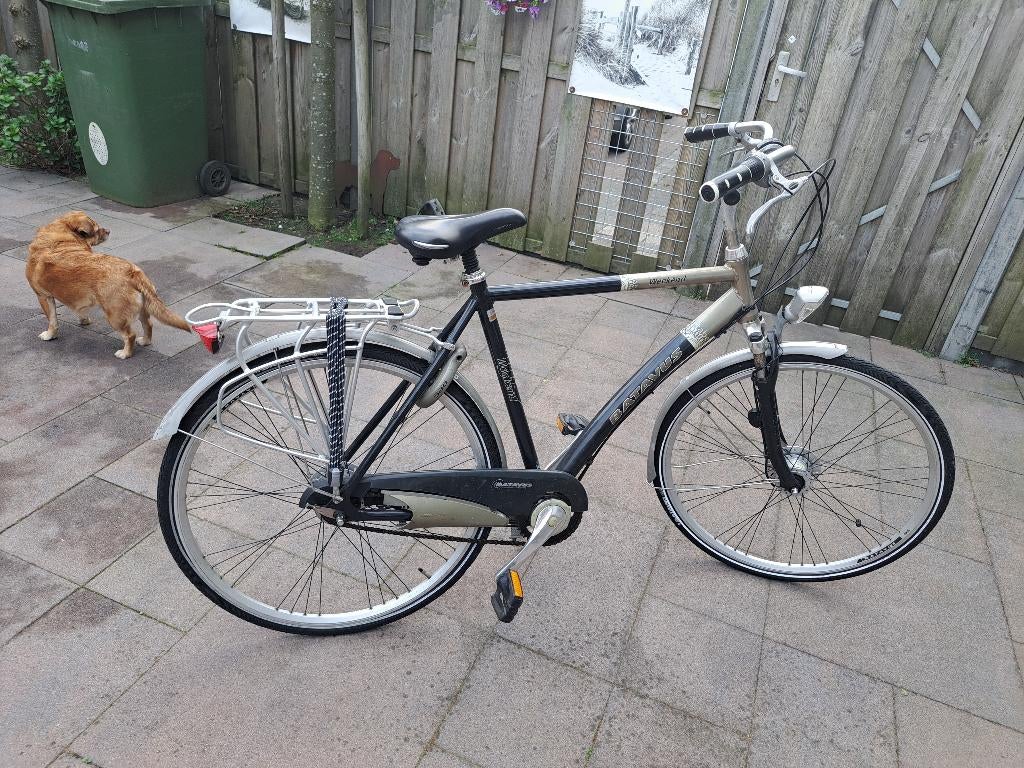 Heren fiets, stationsfiets, Fietsen en Brommers, Fietsen | Heren | Herenfietsen, Ophalen, Gebruikt, Velgrem, Versnellingen