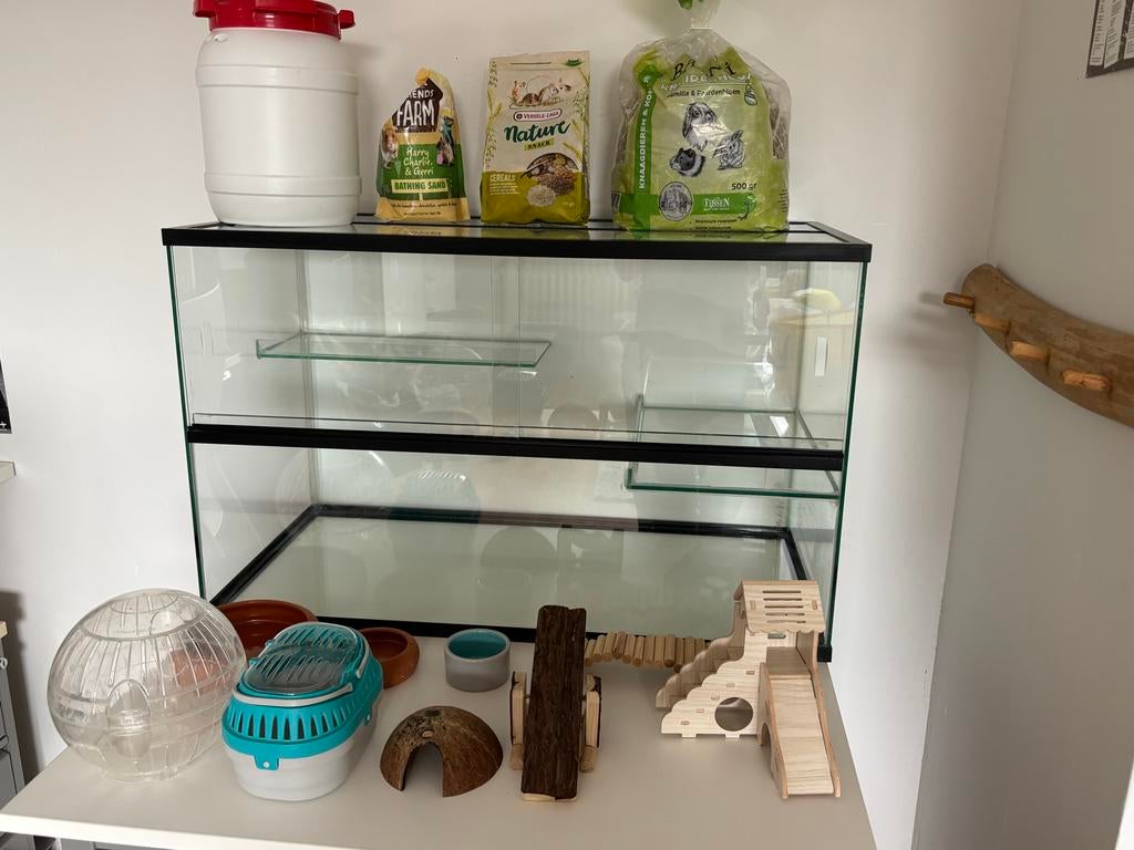 Terrarium, Dieren en Toebehoren, Hok, 75 tot 110 cm, Ophalen, Minder dan 60 cm