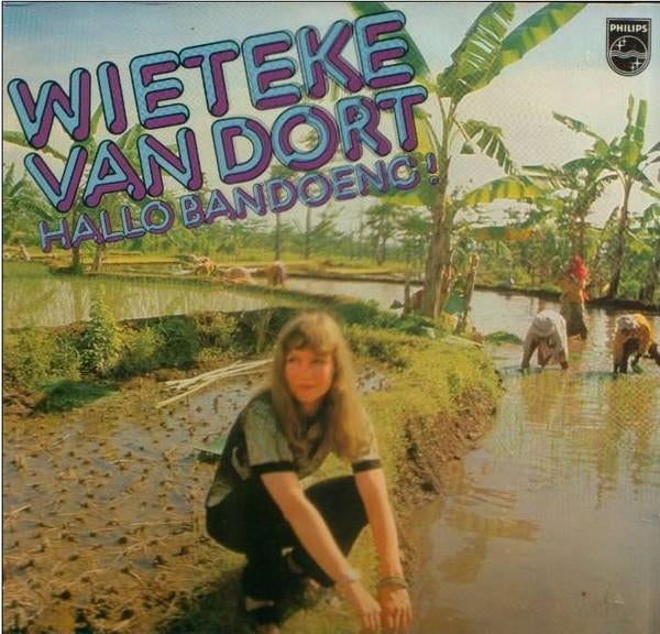 LP - Wieteke van Dort - Hallo Bandoeng, Ophalen of Verzenden, Zo goed als nieuw, 12 inch, Inclusief binnenhoes