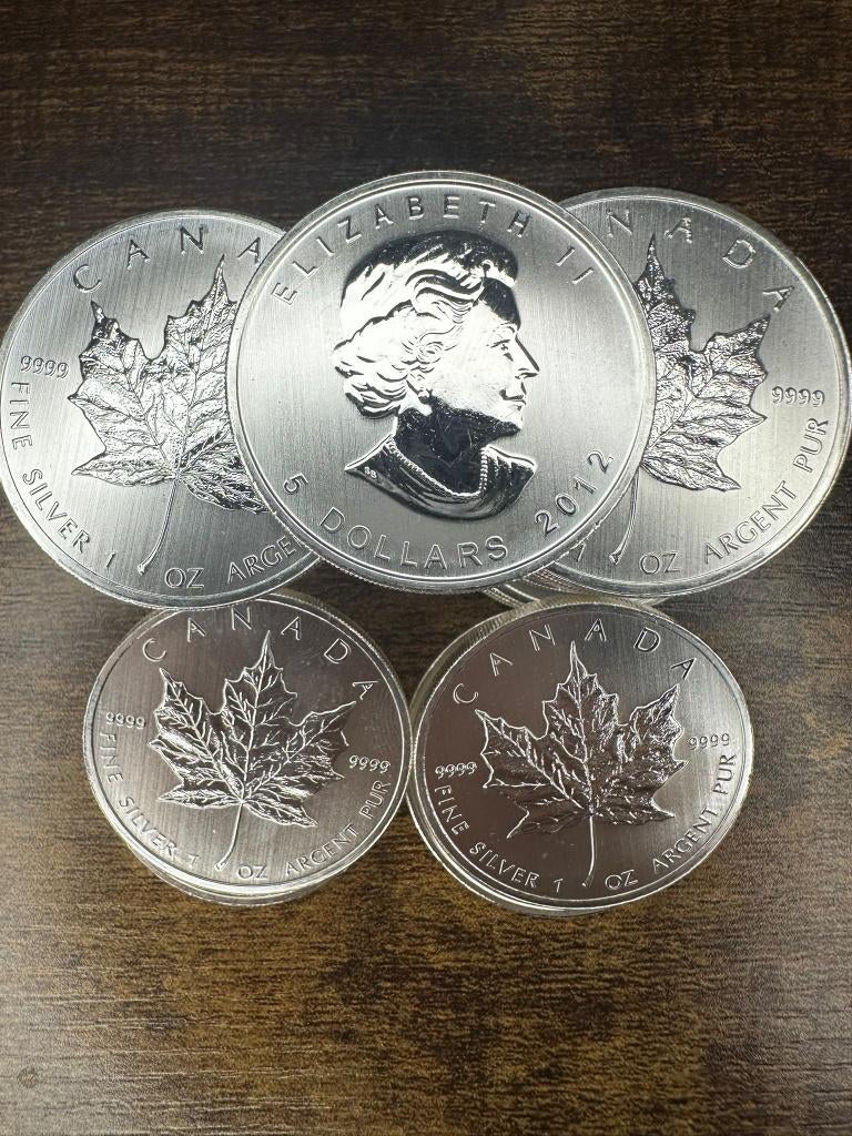 25x Silver Maple Leaf 2012 — 1oz .9999 — Volle Tube, Ophalen of Verzenden, Zilver