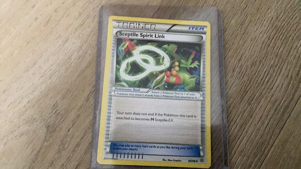 Sceptile spirit link, Ophalen of Verzenden, Zo goed als nieuw