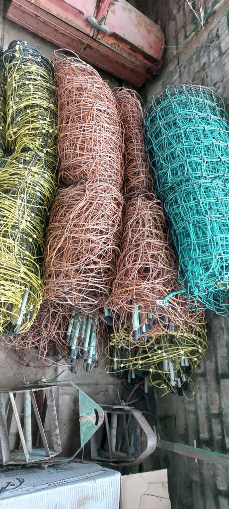 Schapennet netten stroomdraad, Meerdere dieren, Schaap