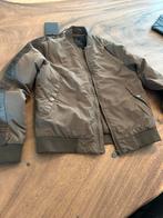 Unleash the Lion Max Verstappen jas - Nieuw met kaartjes, Ophalen of Verzenden, Nieuw, Maat 34 (XS) of kleiner, Groen