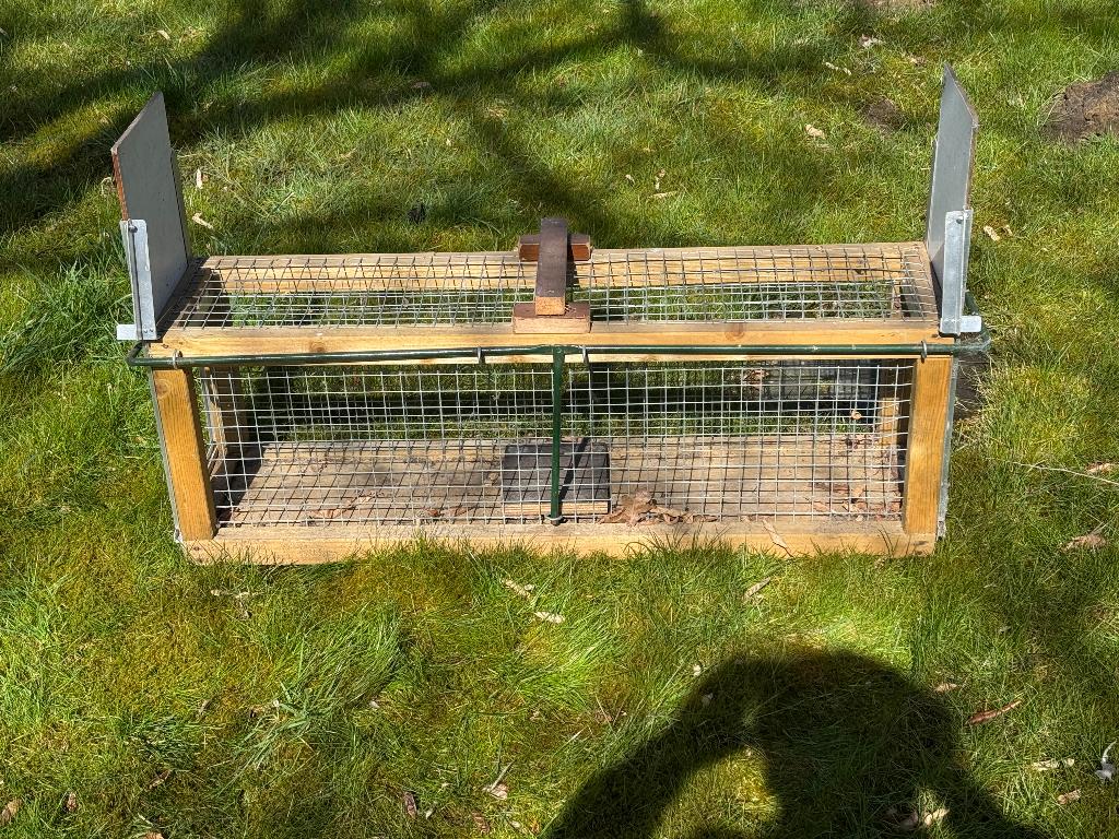 vangkooi voor steenmarters of katten, Ophalen, Gebruikt, Hout, Overige typen