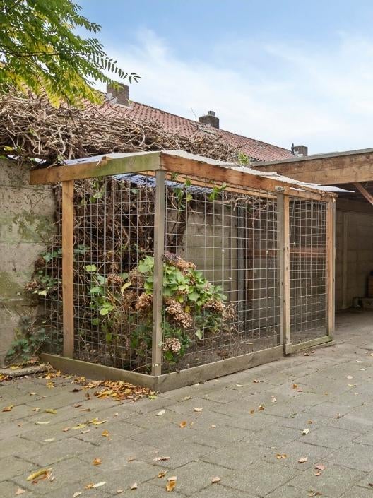 Gratis af te halen, Ophalen, Hout, Vogelkooi