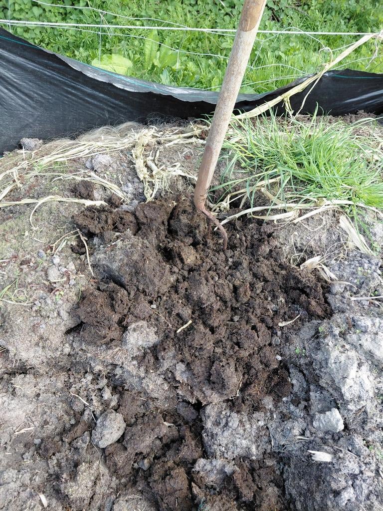 Compost van paardenmest, Ophalen