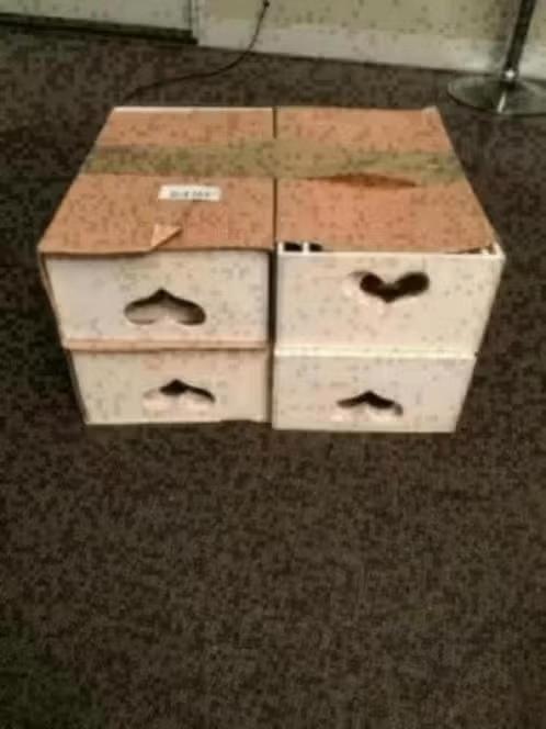 NIEUW! Opslagdozen Populier 3 Assorti € 4.99, Ophalen of Verzenden, Nieuw