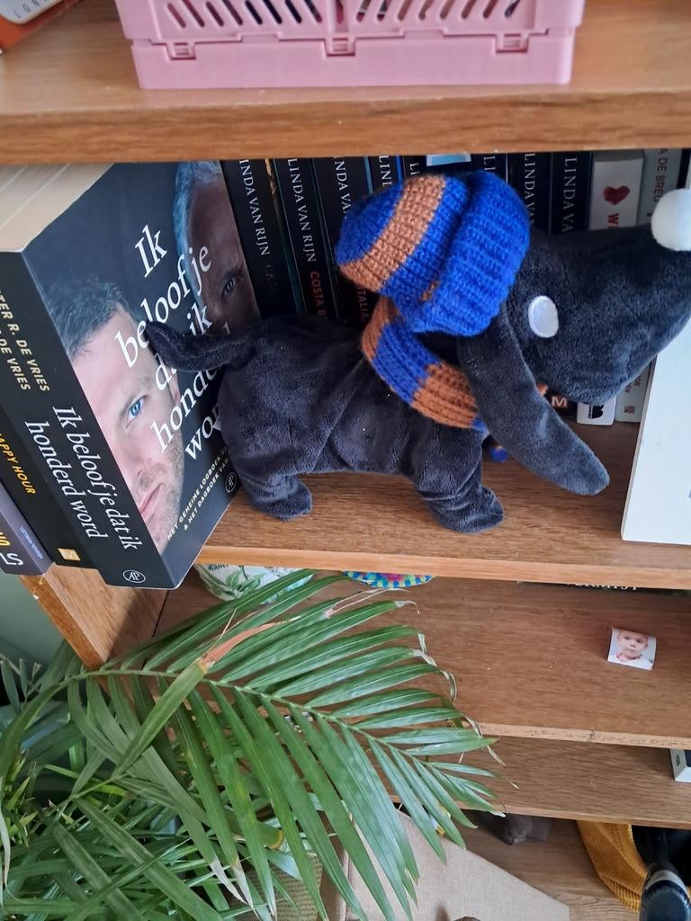 Takkie lopend met geluid, Ophalen, Overige typen, Met geluid