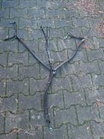 Qhp martingaal, Ophalen of Verzenden, Zo goed als nieuw, Springen