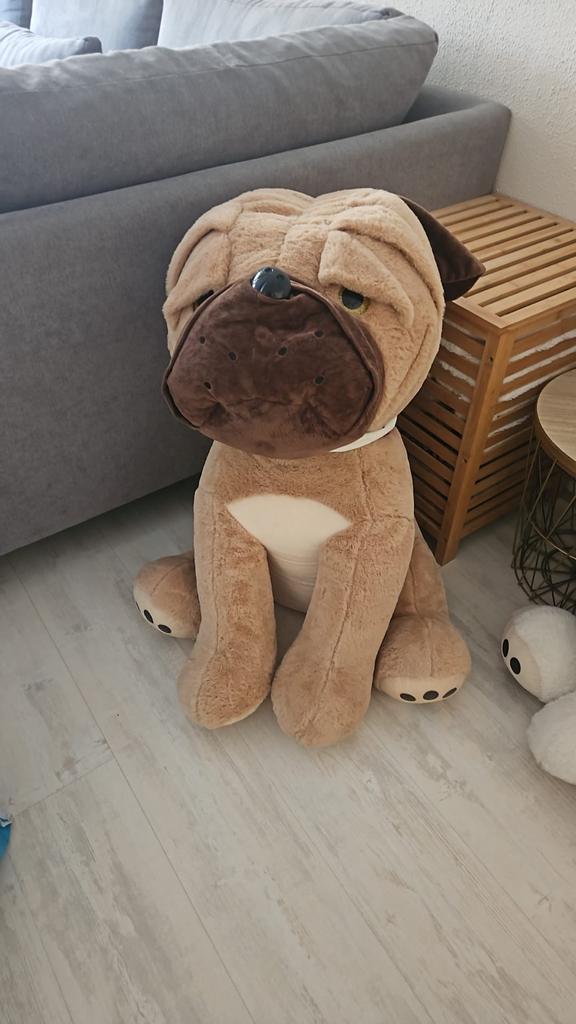 Grote xl pop, Gebruikt, Bruin, Groot (groter dan 80 cm), Hond